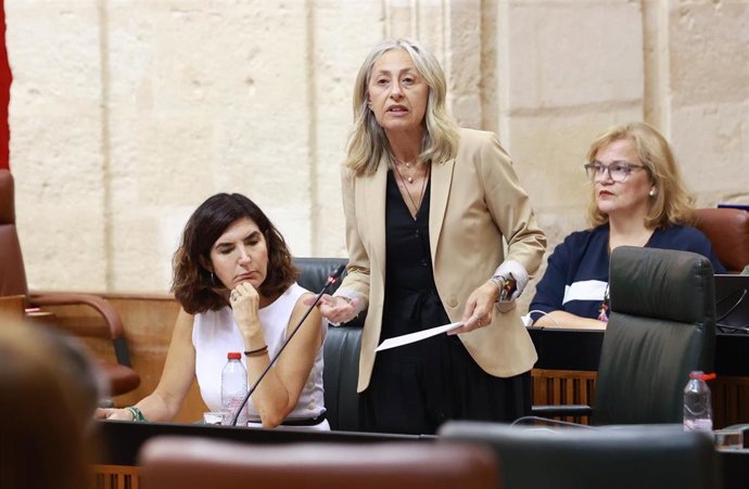 Archivo - La consejera de Salud, Rocío Hernández, en una imagen de archivo en el Pleno del Parlamento.