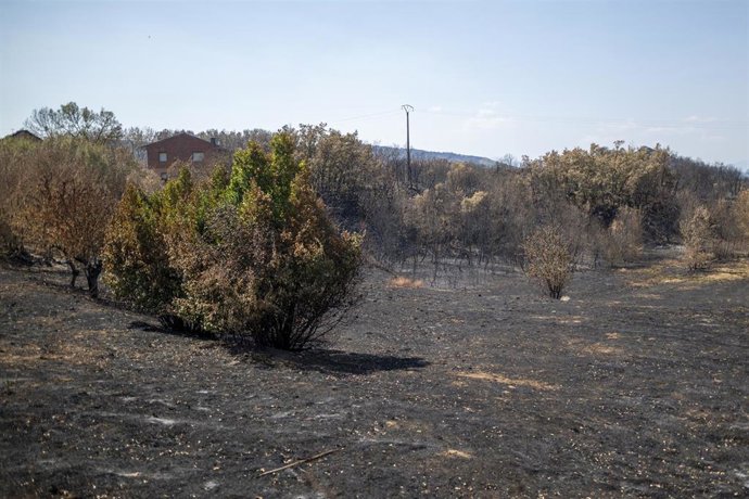 Zona calcinada de Las Médulas, a 22 de agosto de 2025, en Las Médulas, Carucedo, León, Castilla y León (España)
