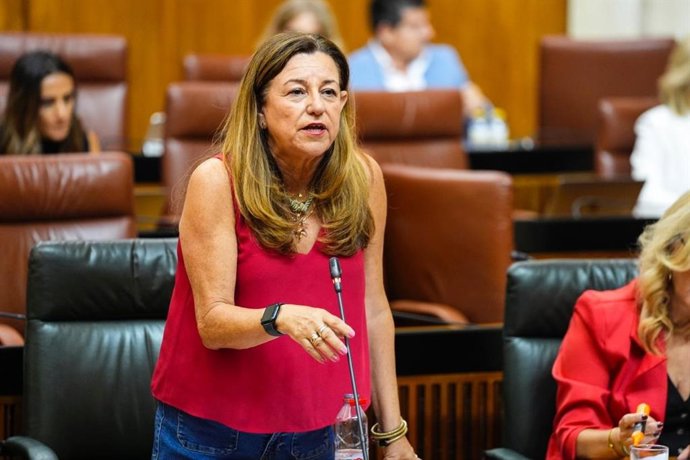 La consejera de Desarrollo Educativo y Formación Profesional, María del Carmen Castillo, en pleno parlamentario  a 11 de septiembre de 2025.