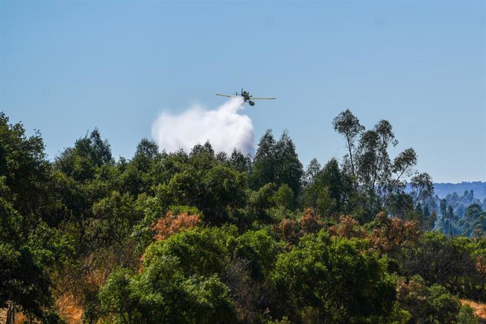 Un avión del Infoca trabaja en el incendio forestal generado por un camión en Higuera de la Sierra (Huelva).