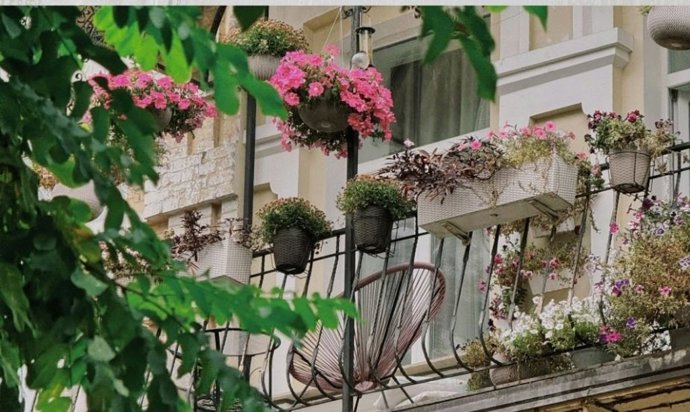 Si todo lo que pones en tu jardín o terraza se fríe, necesitas conocer esta planta todoterreno (y no es el poto)