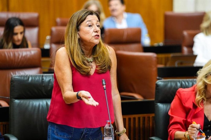 La consejera de Desarrollo Educativo, María del Carmen del Castillo, en pleno parlamentario a fecha de 11 de septiembre de 2025.