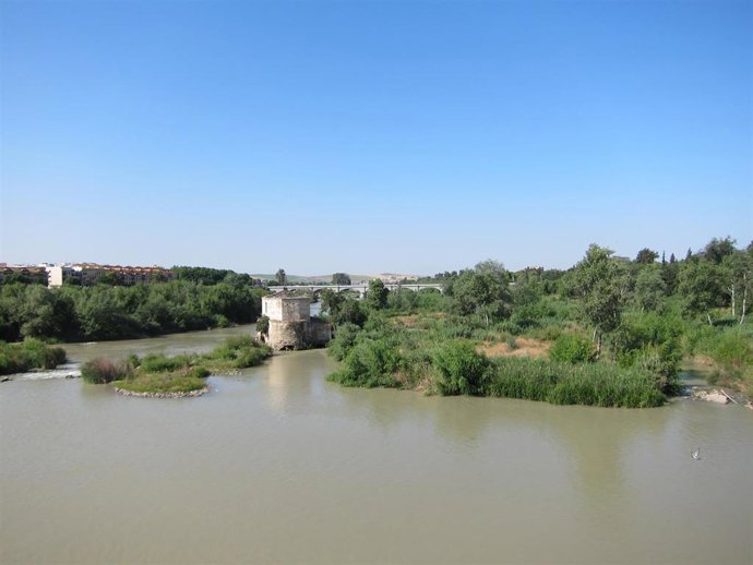 Archivo - Vista del río Guadalquivir desde el Puente Romano en Córdoba.