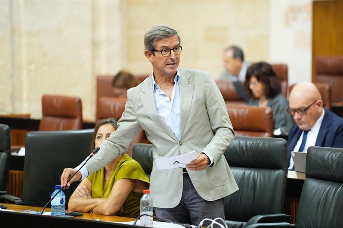 El consejero de Industria, Energía y Minas, Jorge Paradela, durante su intervención en la sesión del Pleno del Parlamento.