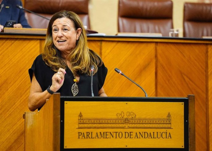 La consejera de Desarrollo Educativo, María del Carmen Castillo, en la comparecencia de este miércoles en el Pleno del Parlamento.