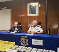 El delegado del Gobierno en Aragón asegura que para el solar de Mayandía hay un proyecto "a falta del carpetazo final"