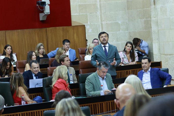 El portavoz del Grupo Popular, Toni Martín, este jueves en el Pleno del Parlamento durante su pregunta al presidente de la Junta, Juanma Moreno. 