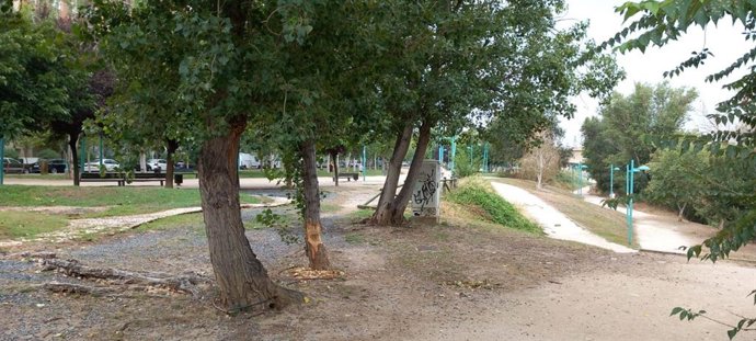 La ciudad protege el arbolado de las riberas ante las afecciones provocadas por castores