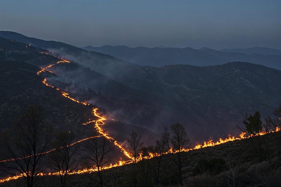 Imagen de archivo de un incendio forestal. 