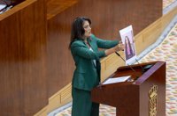 Más Madrid muestra fotos de asesinados en Gaza en la Asamblea y acusa a Ayuso de "seguir legitimando el genocidio"