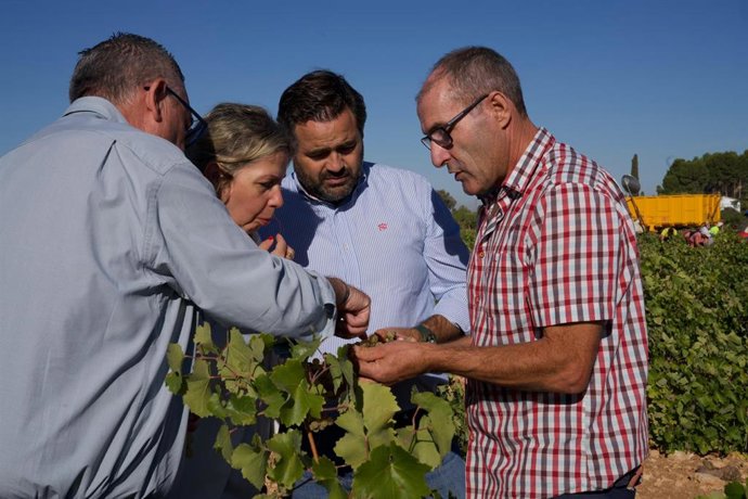 El presidente del PP regional, Paco Núñez, en Socuéllamos.