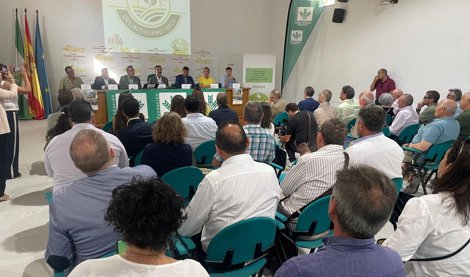 Es Andalucía - Granada