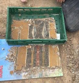 Fragmento de la pintura mural romana hallada en Borja (Zaragoza).