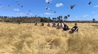 La Junta participa en una suelta de perdices en la Finca El Calamón de Santa Olalla del Cala (Huelva)