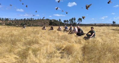 Es Andalucía - Huelva