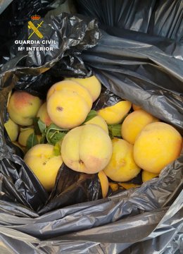 Parte de los melocotones que había dentro del vehículo