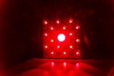 Foto: Desarrollan un sistema que emplea luz infrarroja para mejorar la reparación de daños en el ADN