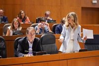 Vaquero dice que "da igual como se llamen" los Puntos Violeta mientras sean "seguros y eficaces"