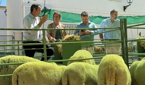 Es Andalucía - Jaén