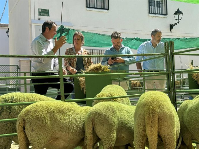 Catalina García (2i), en la Feria Ganadera de Santiago de la Espada.
