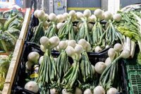 CCOO alerta del problema social y económico de la vivienda pese al descenso de la inflación