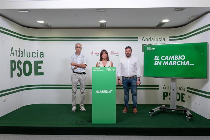 La diputada nacional del PSOE por Almería Inés Plaza durante la rueda de prensa.