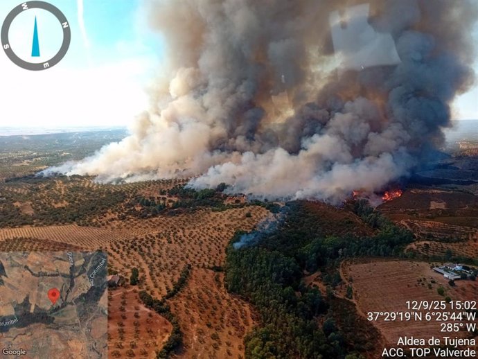 Incêndio declarado em Paterna del Campo (Huelva).
