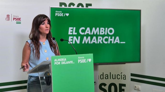 Archivo - Inés Plaza durante una comparecencia en la sede provincial del PSOE.