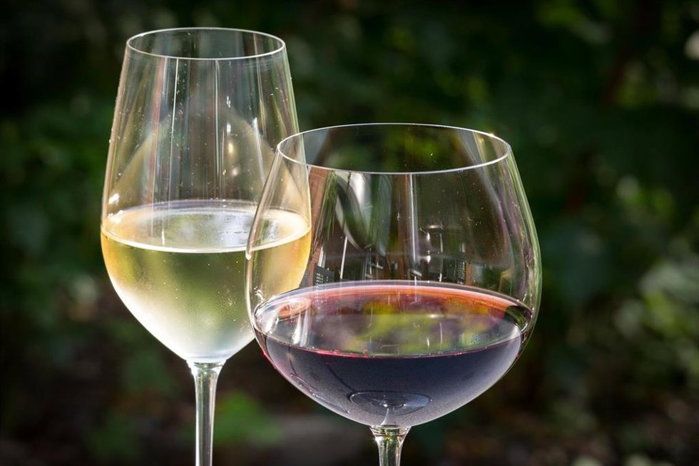 Archivo - Copas de vino