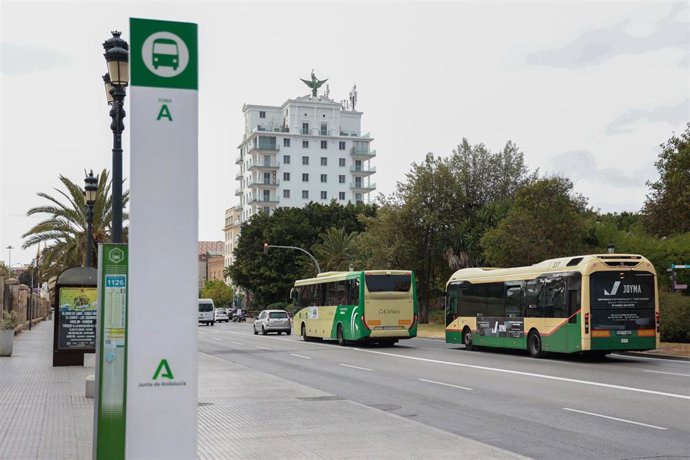 Archivo - Autobuses del servicio interurbano y del urbano de Cádiz en una imagen de archivo.