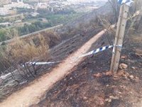 La Policía Adscrita y la BIIF esclarecen el origen del incendio de la Fuente de la Bicha, en Granada capital