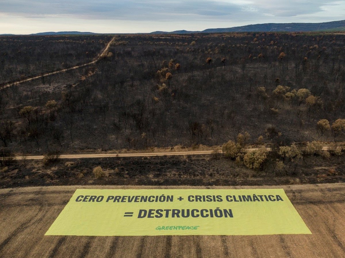 Greenpeace despliega una pancarta gigante en León para reclamar políticas eficaces de prevención frente a los incendios