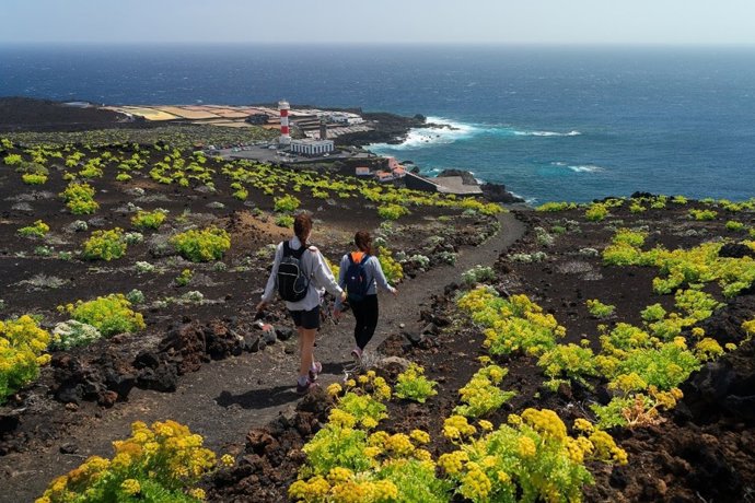 Volcanes, paisajes y senderos: un viaje por la historia geológica de La Palma
