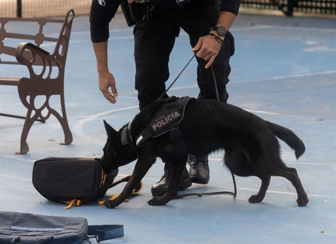 Archivo - Un perro de la policía durante un simulacro de detección de sustancias ilegales en Madrid