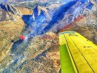 Estabilizado el incendio declarado en Alcaucín (Málaga) tras la intervención de casi 50 efectivos