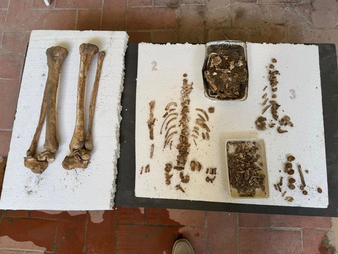 Descubren restos en la antigua sinagoga de Utrera (Sevilla).