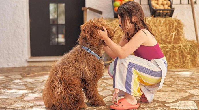 El boom del turismo 'pet-friendly', según Pitchup: 9 de cada 10 campings ya admite mascotas.