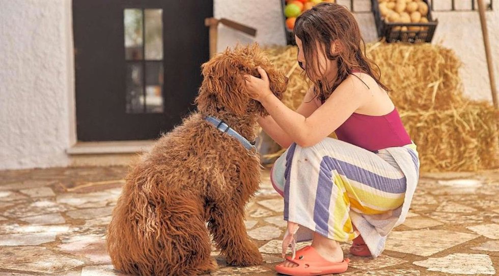 El boom del turismo 'pet-friendly', según Pitchup: 9 de cada 10 campings ya admite mascotas.