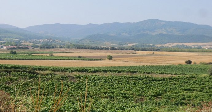 Amigos de la Tierra La Rioja alega contra "una barbaridad urbanística" en el Yalde