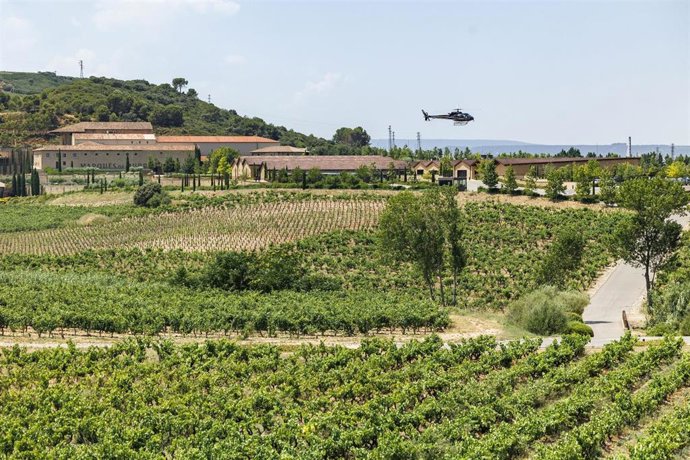 Archivo - Marqués de Murrieta presenta la experiencia enoturística más exclusiva de España
