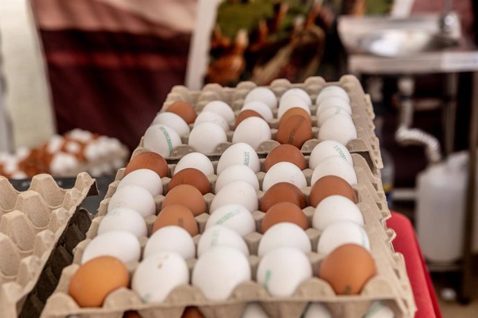 Recursos de huevos en el mercado de ‘La Despensa de Madrid’, en los jardines del Palacio del Infante Don Luis, a 7 de septiembre de 2025, en Boadilla del Monte, Madrid (España). La Comunidad de Madrid, en colaboración con el Ayuntamiento de Boadilla, impu