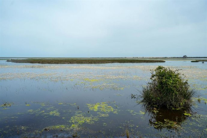 Archivo - Parque Nacional de Doñana.
