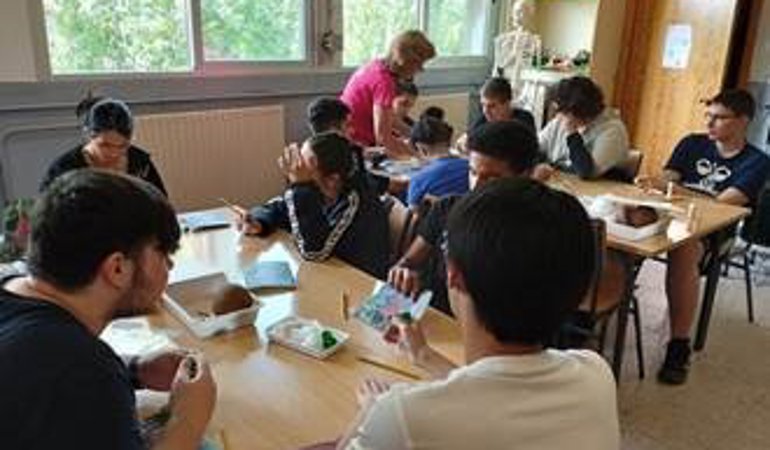 Educación