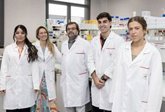 Foto: Identifican un alto potencial antioxidante en las hojas y la corteza de la planta del anacardo