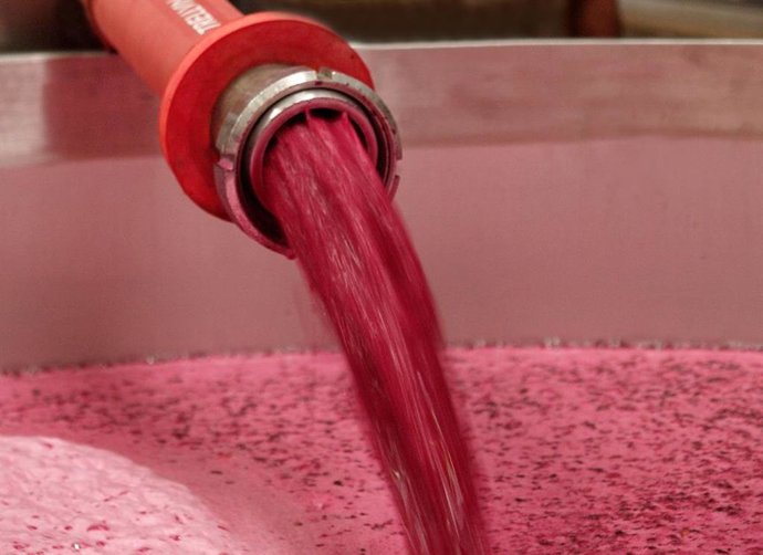 Archivo - AIVE pide a las Administraciones que intervengan para evitar la venta a pérdidas en el sector del vino