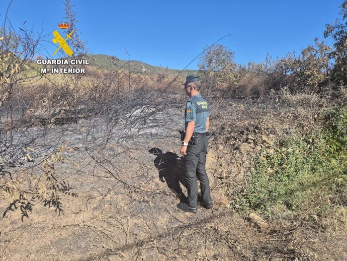 Imagen del incendio registrado el sábado en Borrenes (León)