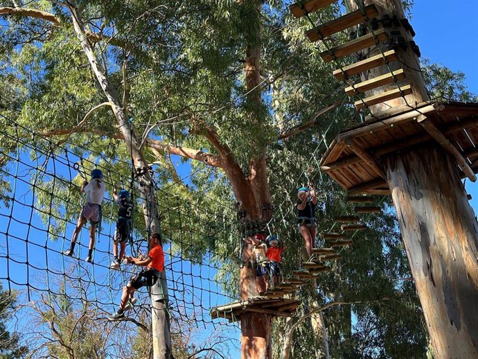 Imagen de niños realizando ejercicio durante la jornada.