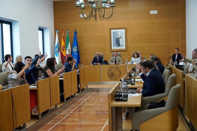 Pleno extraordinario de la Diputación de Huelva.