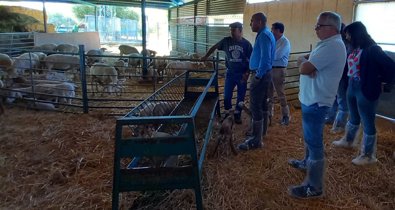 Es  Andalucía - Almería