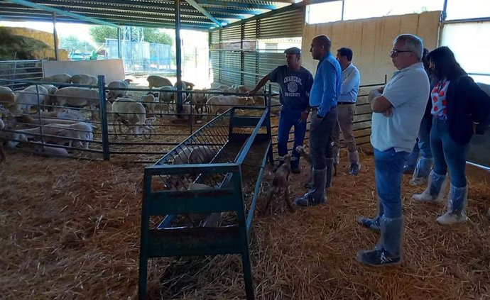 El delegado de Agricultura de Almería visita una explotación ganadera afectada por lengua azul.